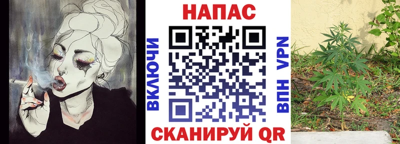 Псилоцибиновые грибы Чистополь