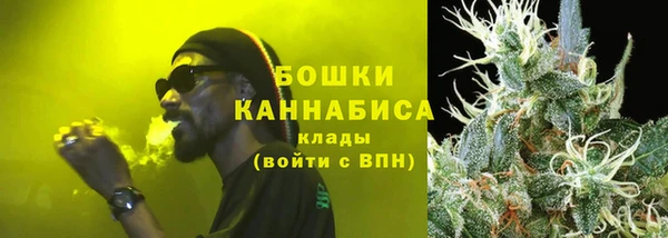 стафф Новокубанск