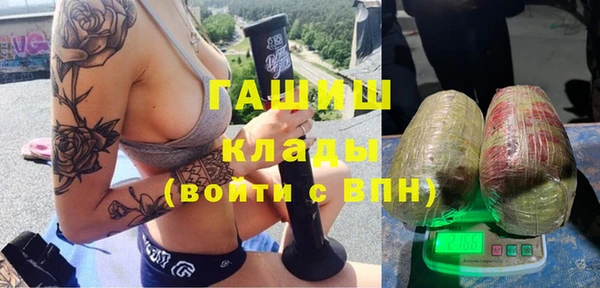 стафф Новокубанск