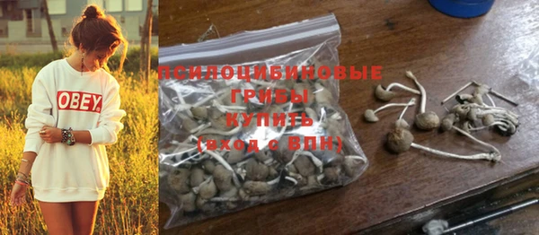MDMA Premium VHQ Новозыбков