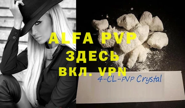 стафф Новокубанск
