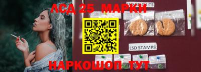 индика Ирбит