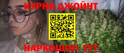 индика Ирбит