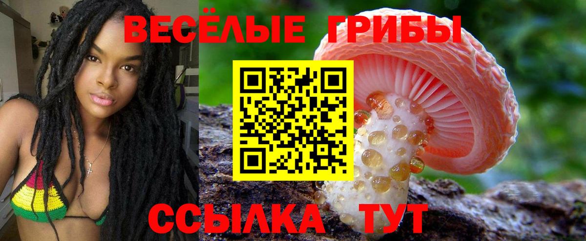 Псилоцибиновые грибы GOLDEN TEACHER Чистополь