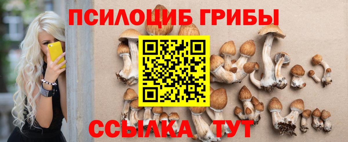 Псилоцибиновые грибы ЛСД  наркотики  Чистополь  Вход с VPN 